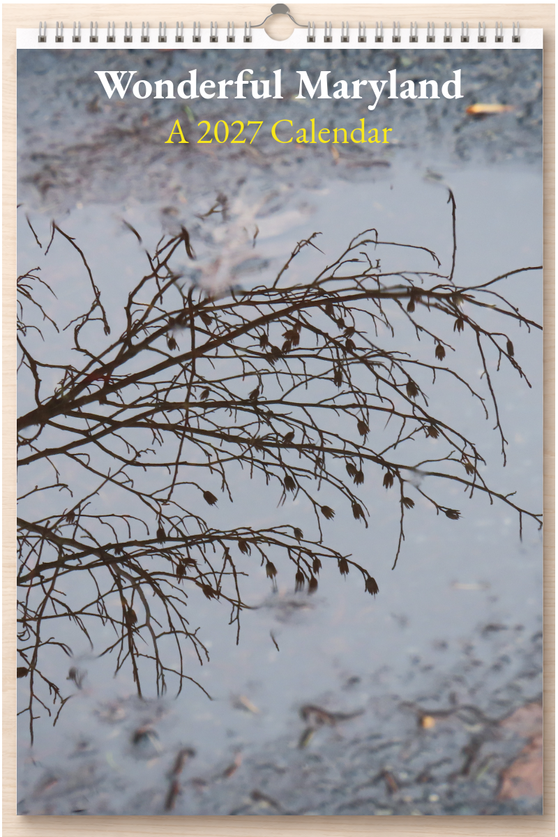 Wonderful Maryland: A 2027 Calendar