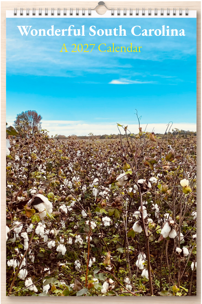Wonderful South Carolina: A 2027 Calendar