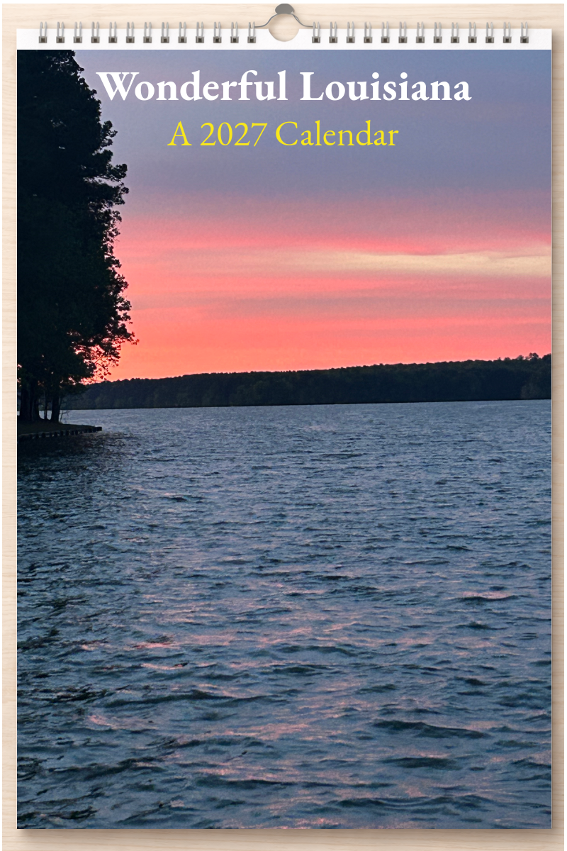Wonderful Louisiana: A 2027 Calendar