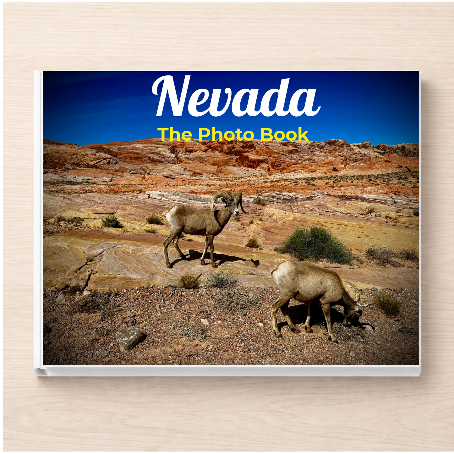 Nevada: The Photo Book