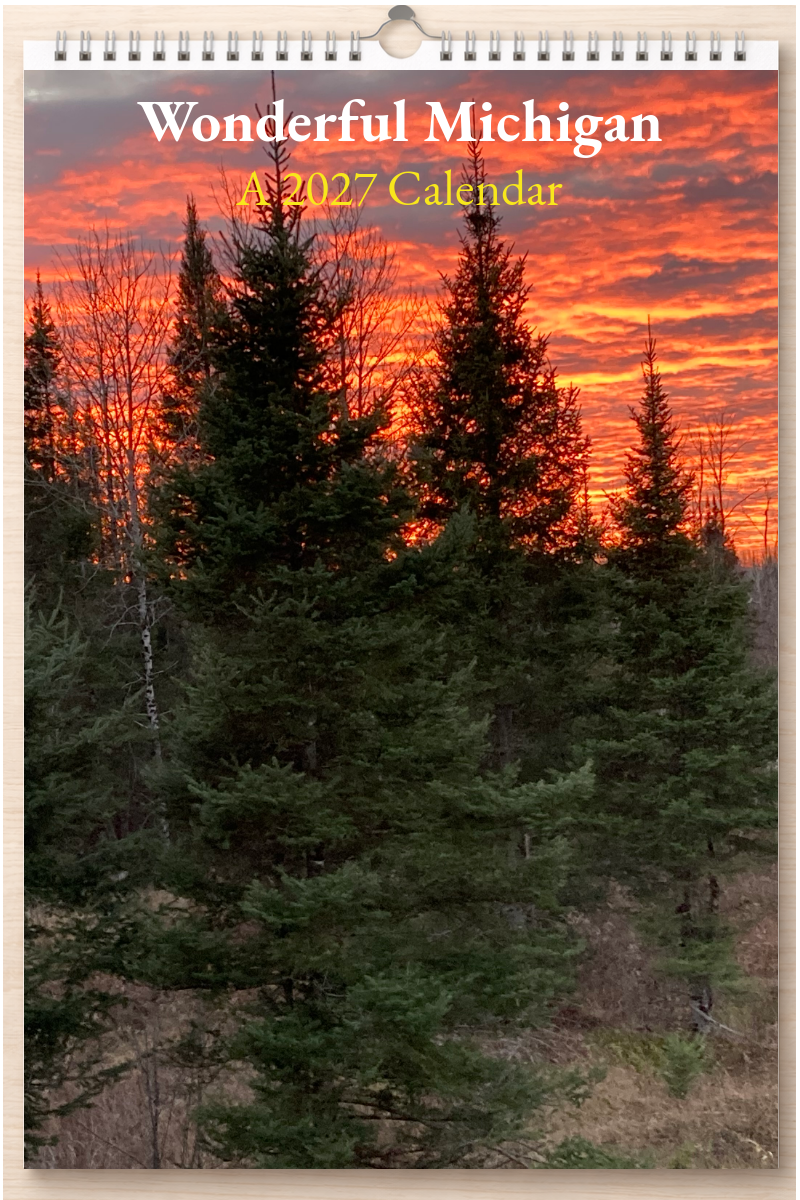 Wonderful Michigan: A 2027 Calendar