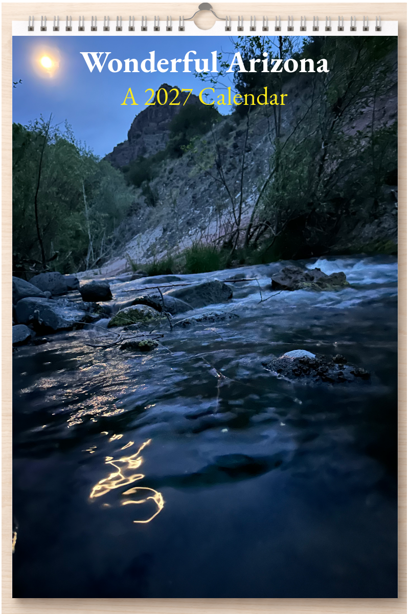 Wonderful Arizona: A 2027 Calendar