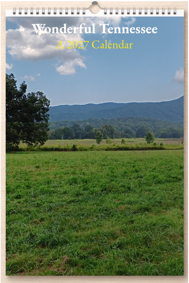 Wonderful Tennessee: A 2027 Calendar