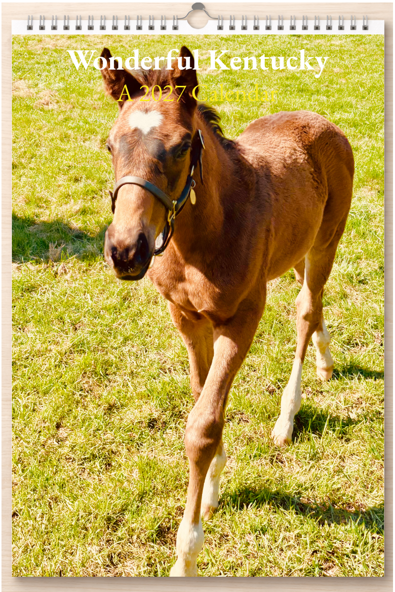 Wonderful Kentucky: A 2027 Calendar