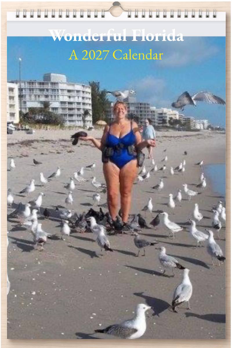 Wonderful Florida: A 2027 Calendar