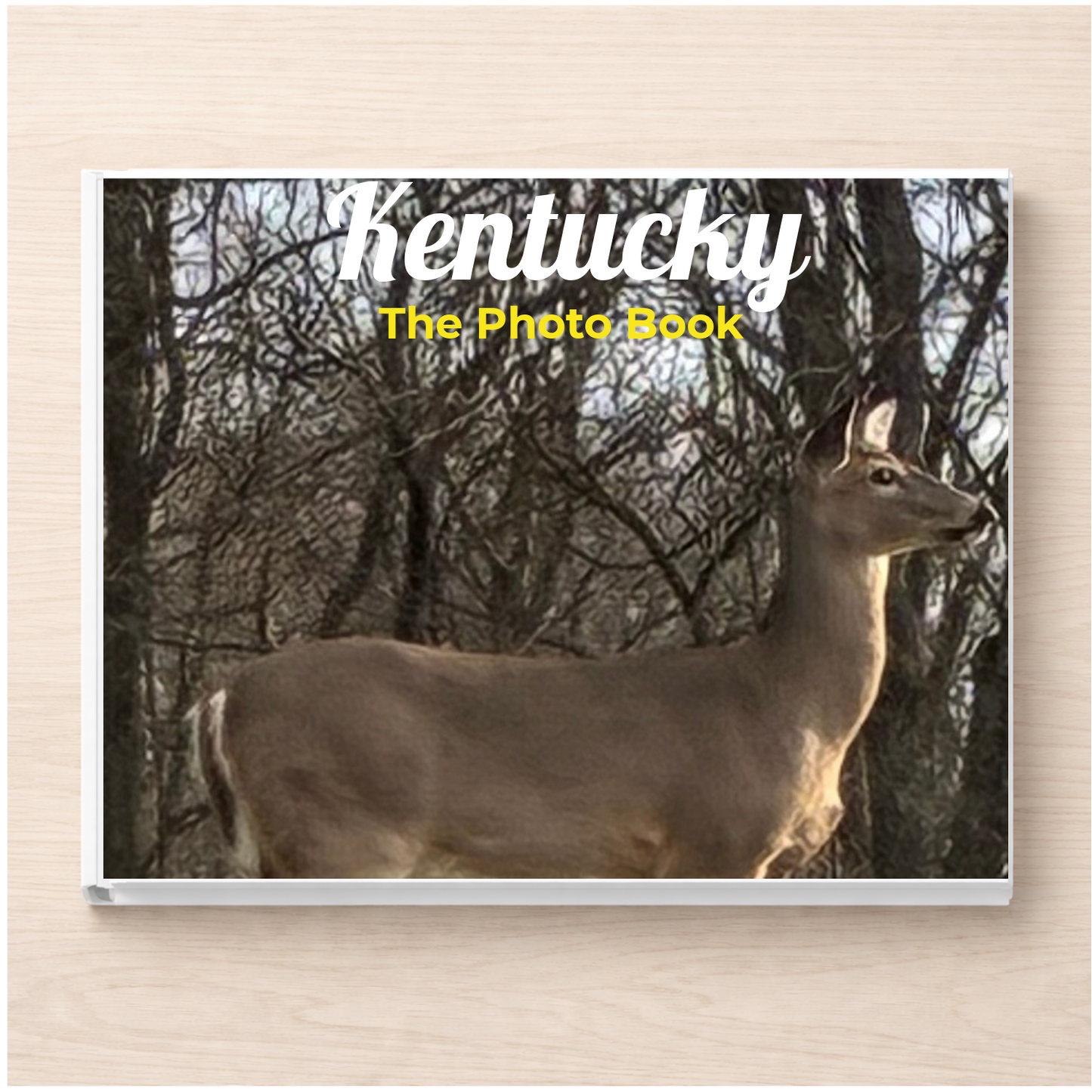Kentucky: The Photo Book
