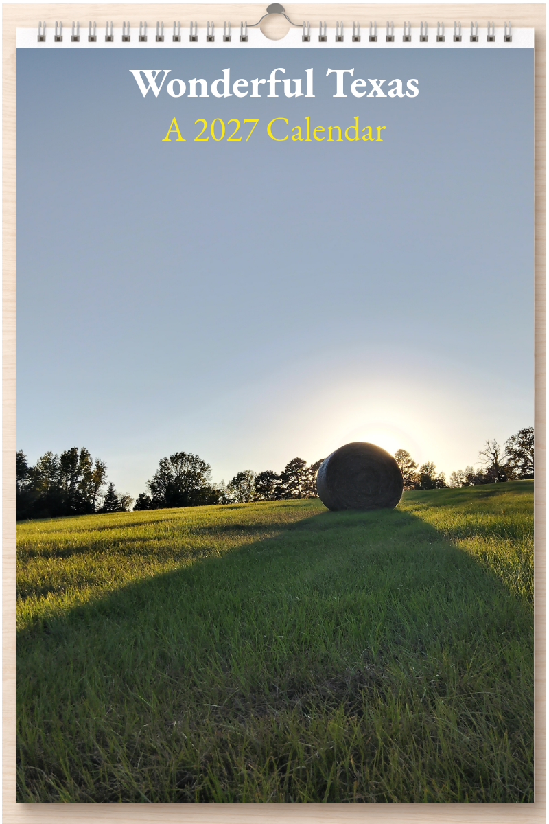 Wonderful Texas: A 2027 Calendar