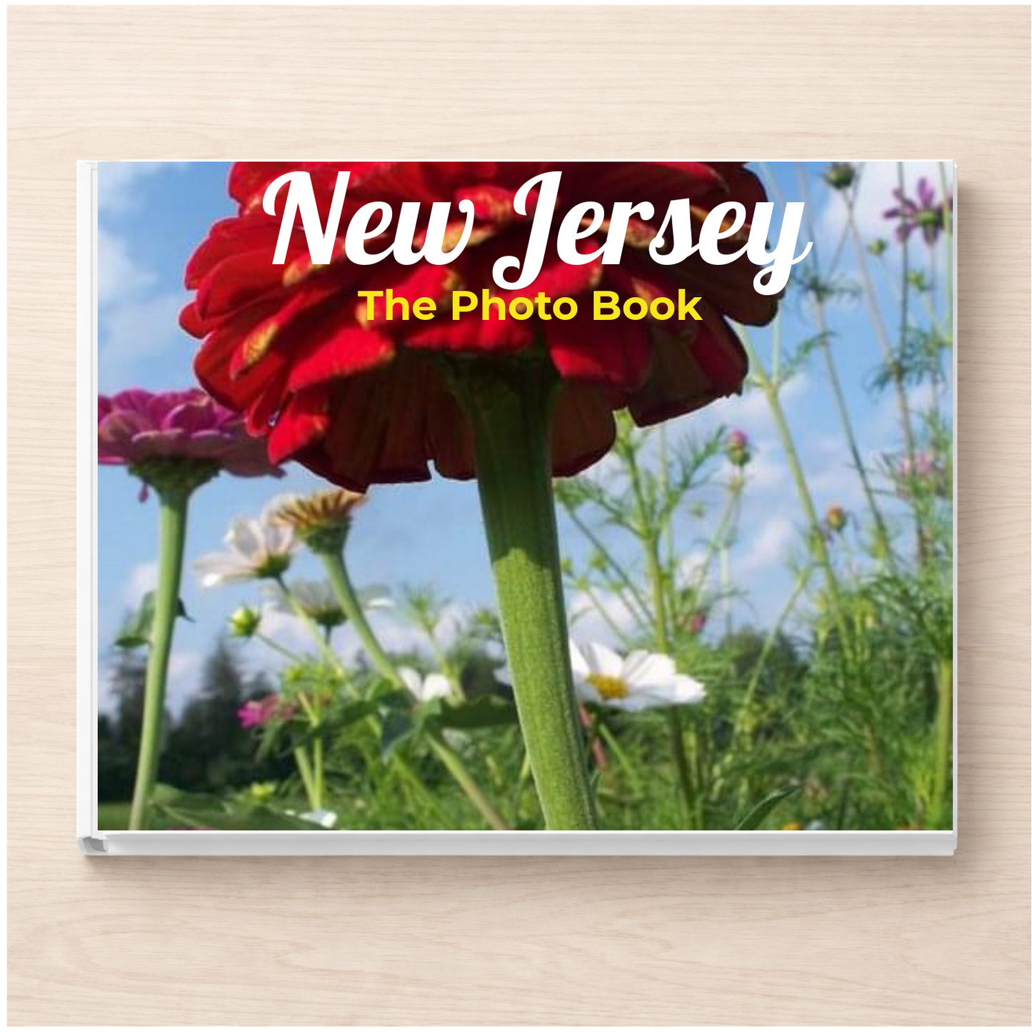 New Jersey: The Photo Book