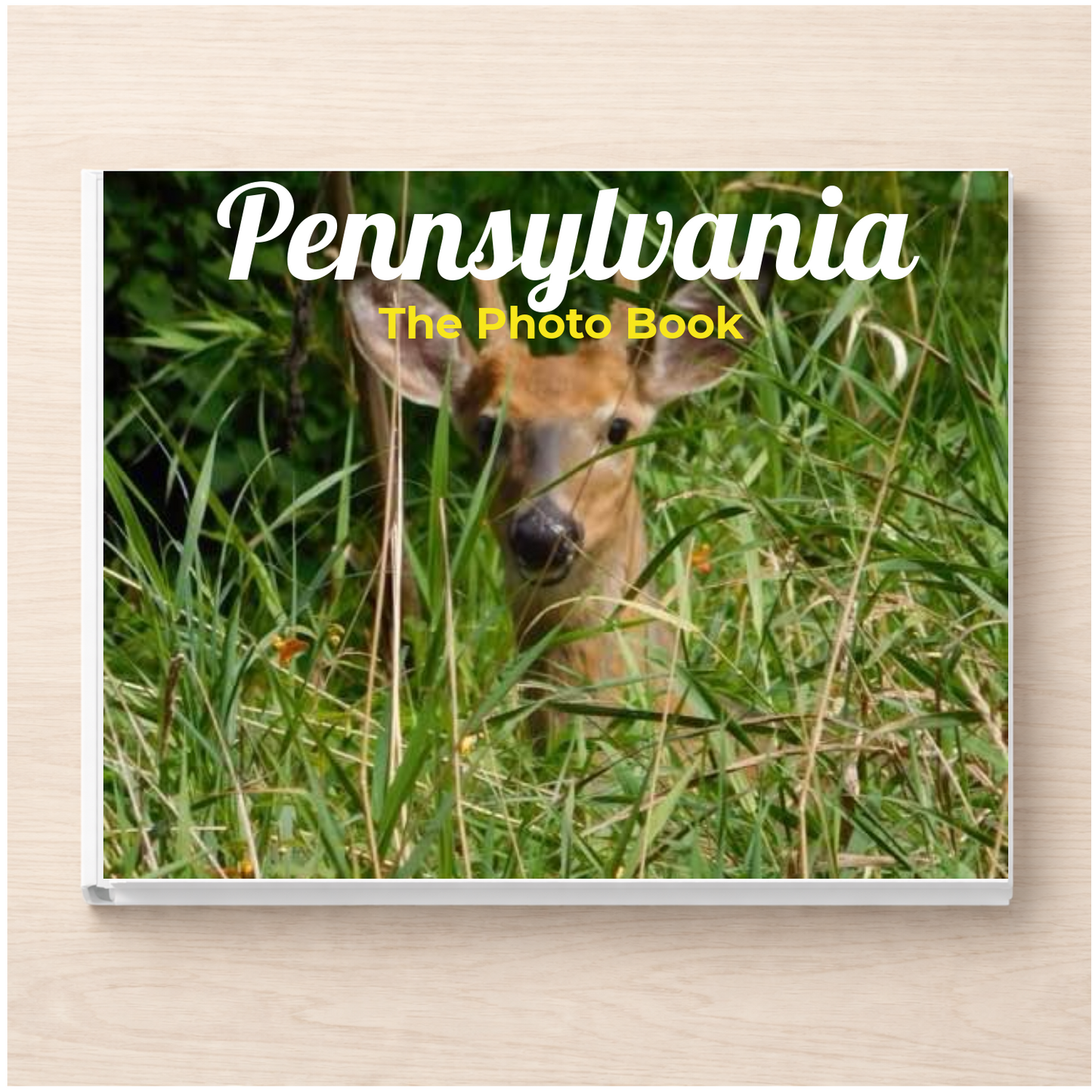Pennsylvania: The Photo Book