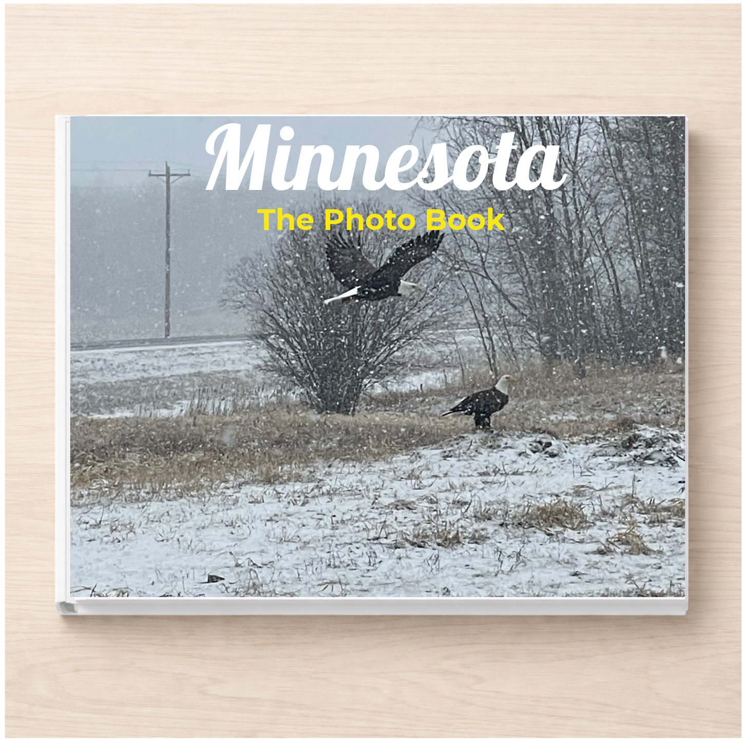 Minnesota: The Photo Book
