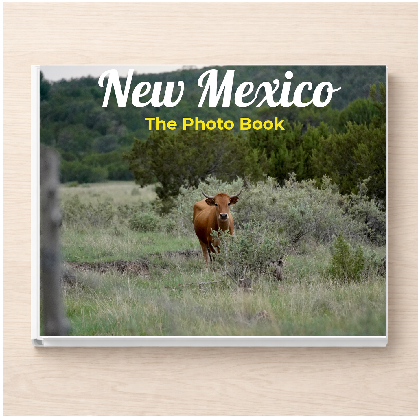 New Mexico: The Photo Book