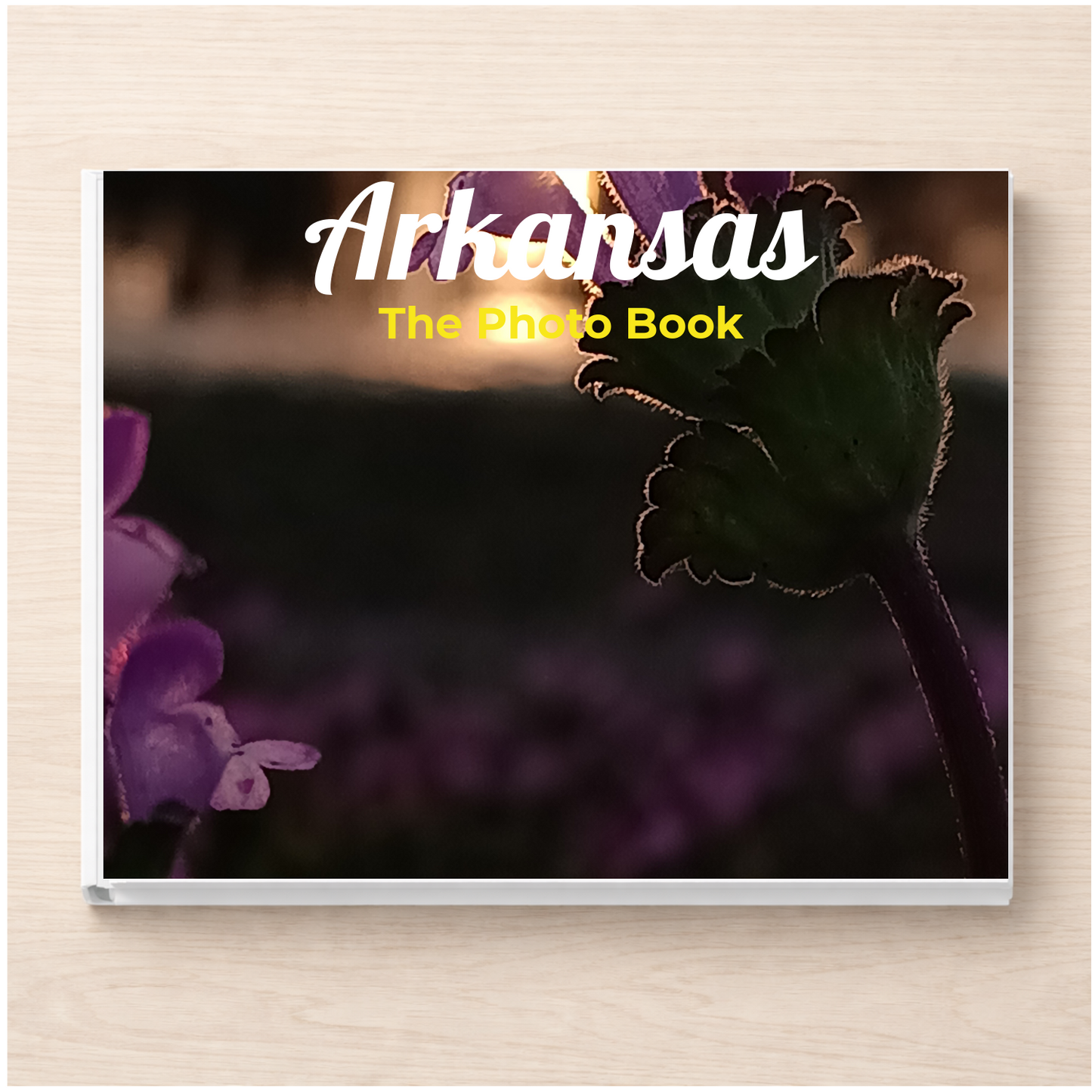 Arkansas: The Photo Book