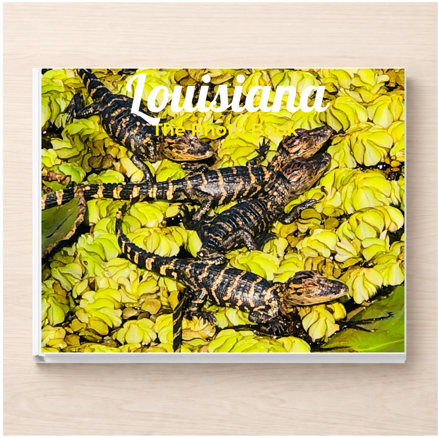 Louisiana: The Photo Book