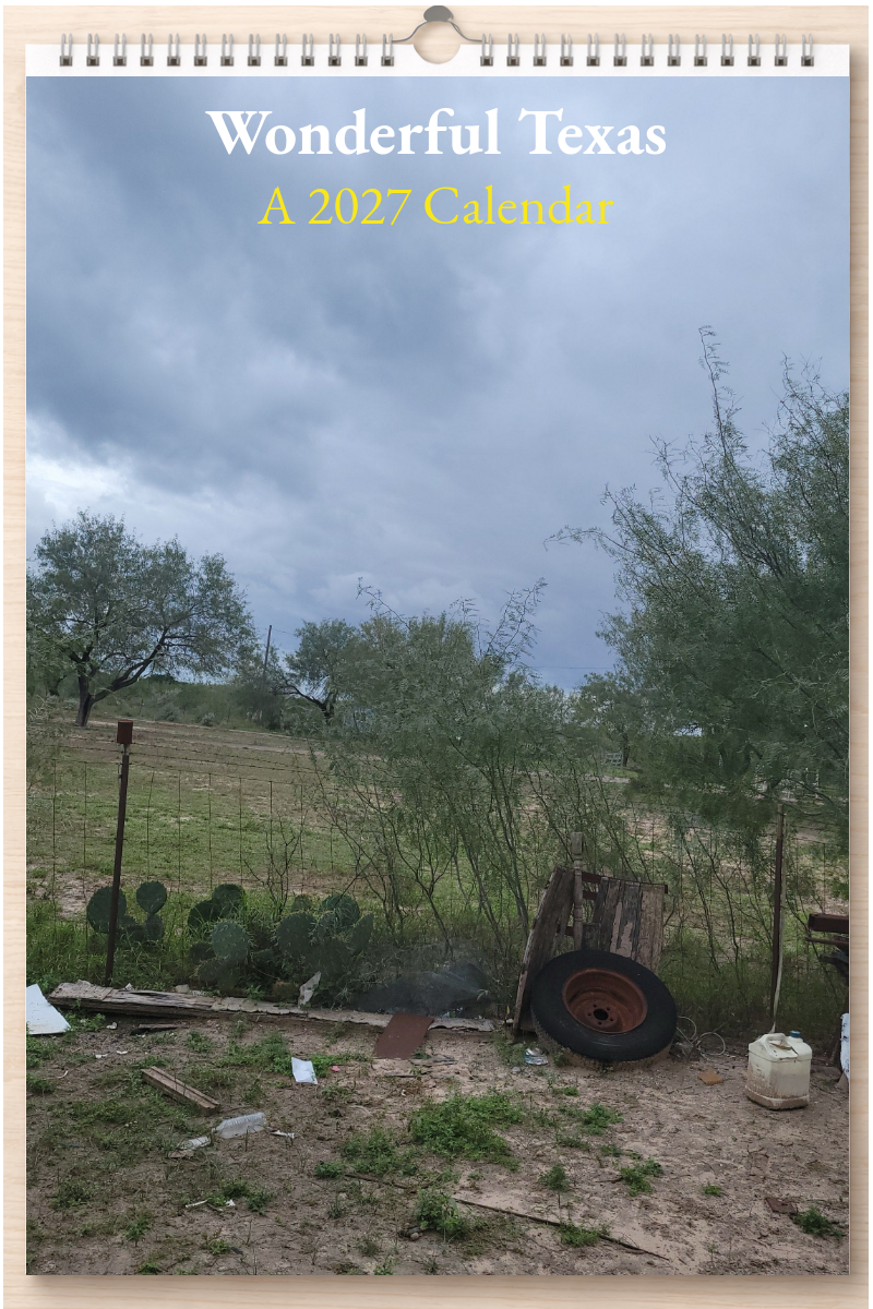 Wonderful Texas: A 2027 Calendar