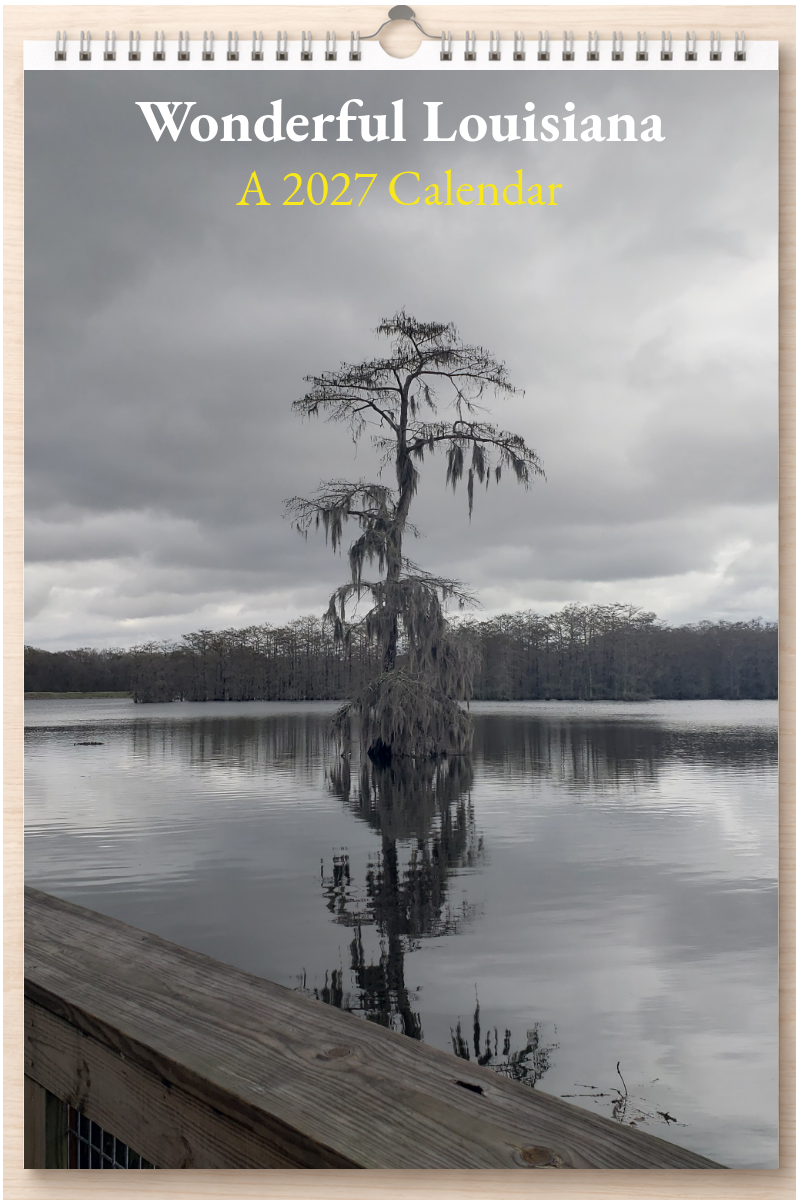 Wonderful Louisiana: A 2027 Calendar