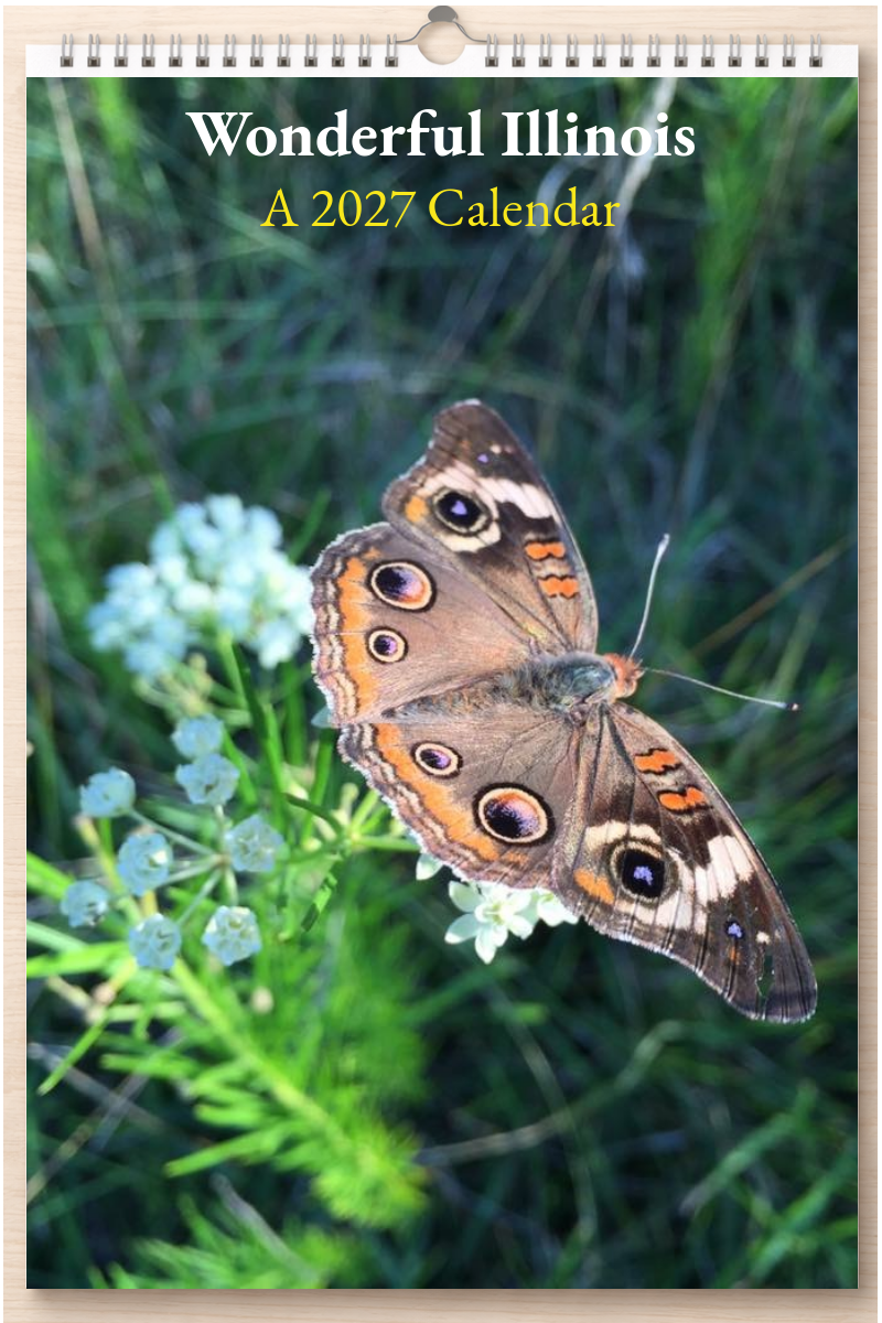 Wonderful Illinois: A 2027 Calendar