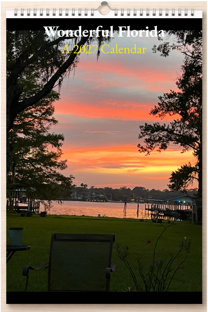 Wonderful Florida: A 2027 Calendar