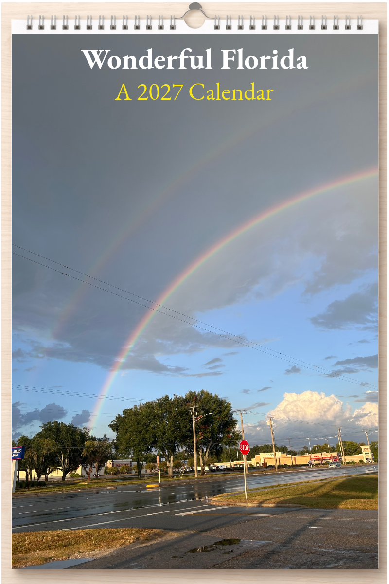 Wonderful Florida: A 2027 Calendar
