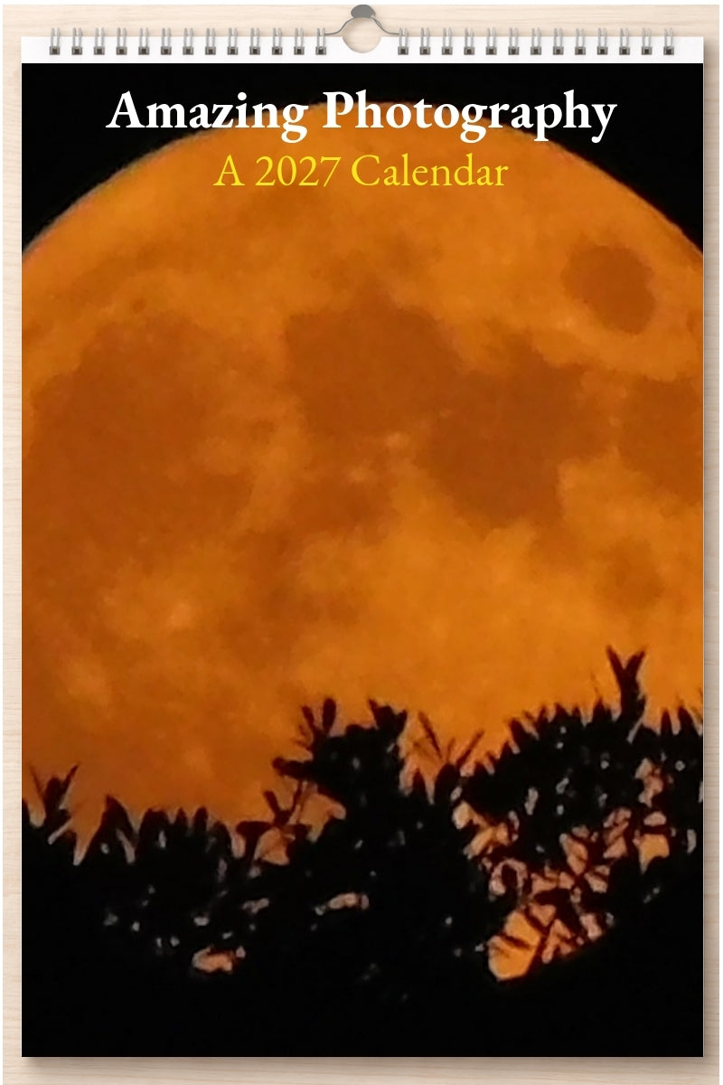 Amazing Photography: A 2027 Calendar