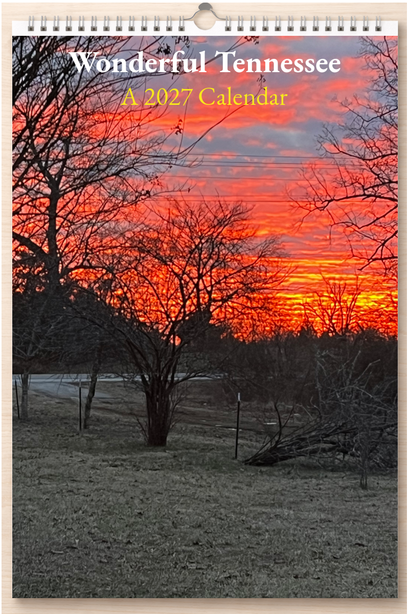 Wonderful Tennessee: A 2027 Calendar