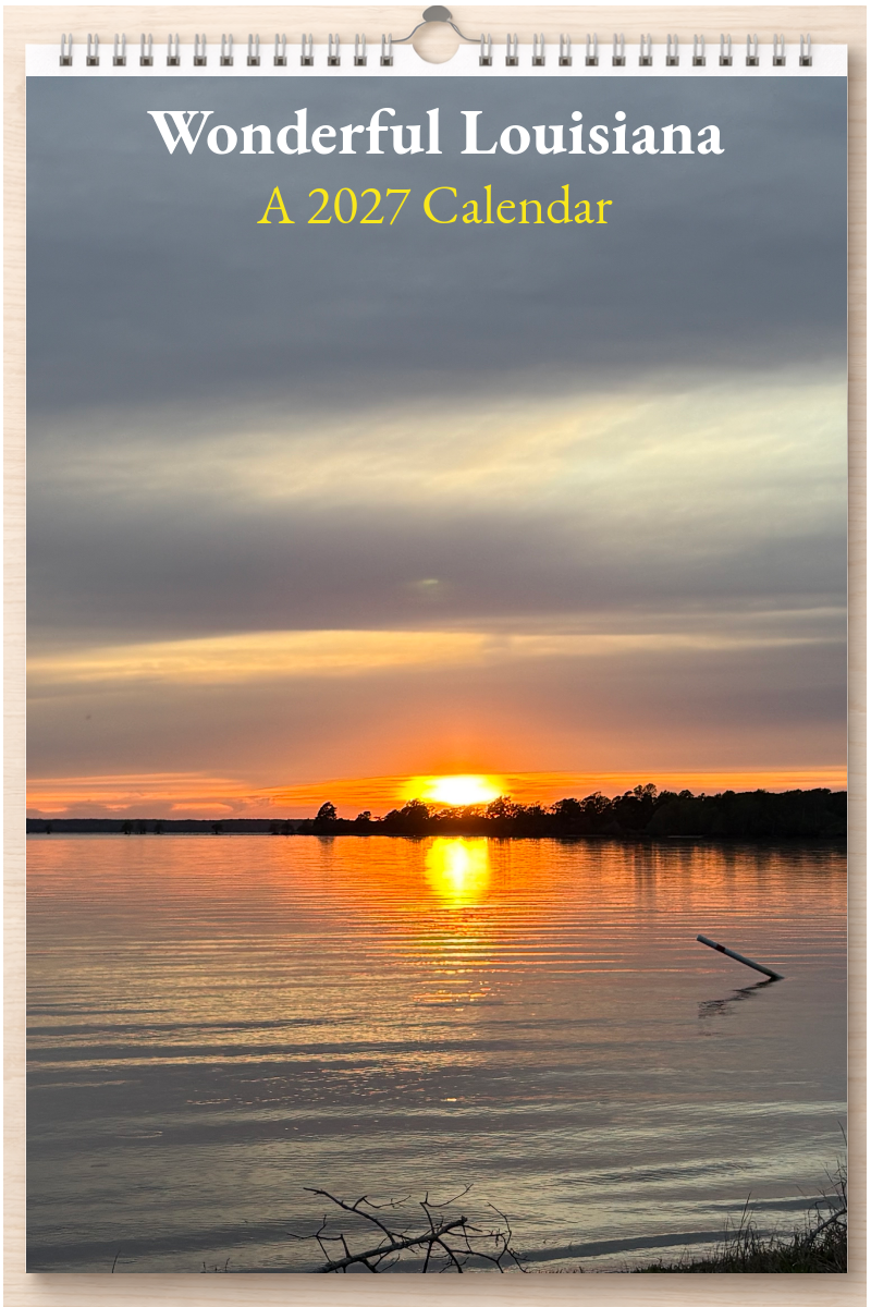 Wonderful Louisiana: A 2027 Calendar