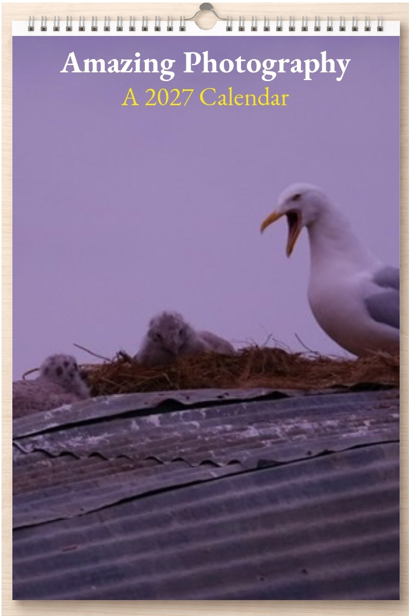 Amazing Photography: A 2027 Calendar
