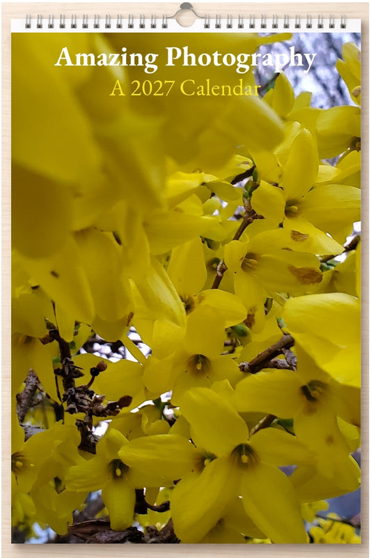 Amazing Photography: A 2027 Calendar