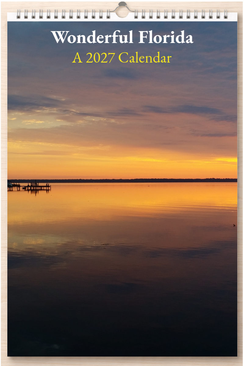 Wonderful Florida: A 2027 Calendar