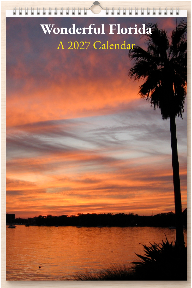 Wonderful Florida: A 2027 Calendar