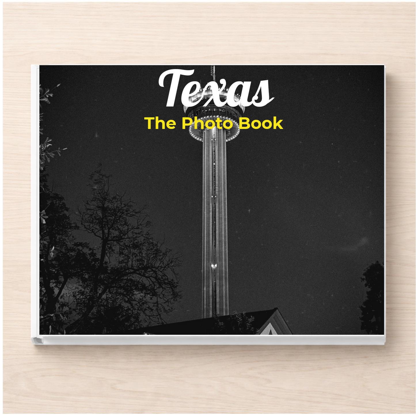 Texas: The Photo Book