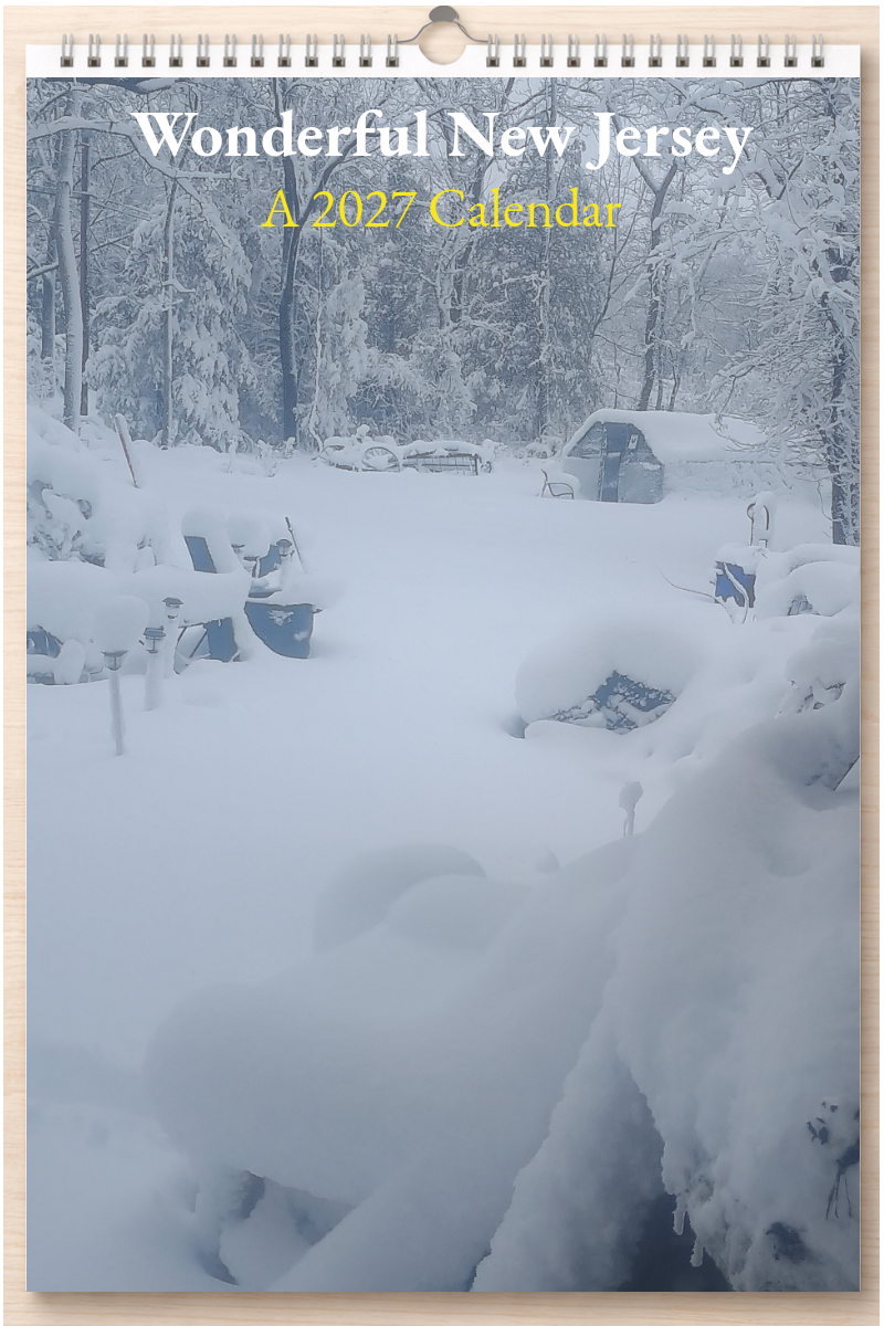 Wonderful New Jersey: A 2027 Calendar