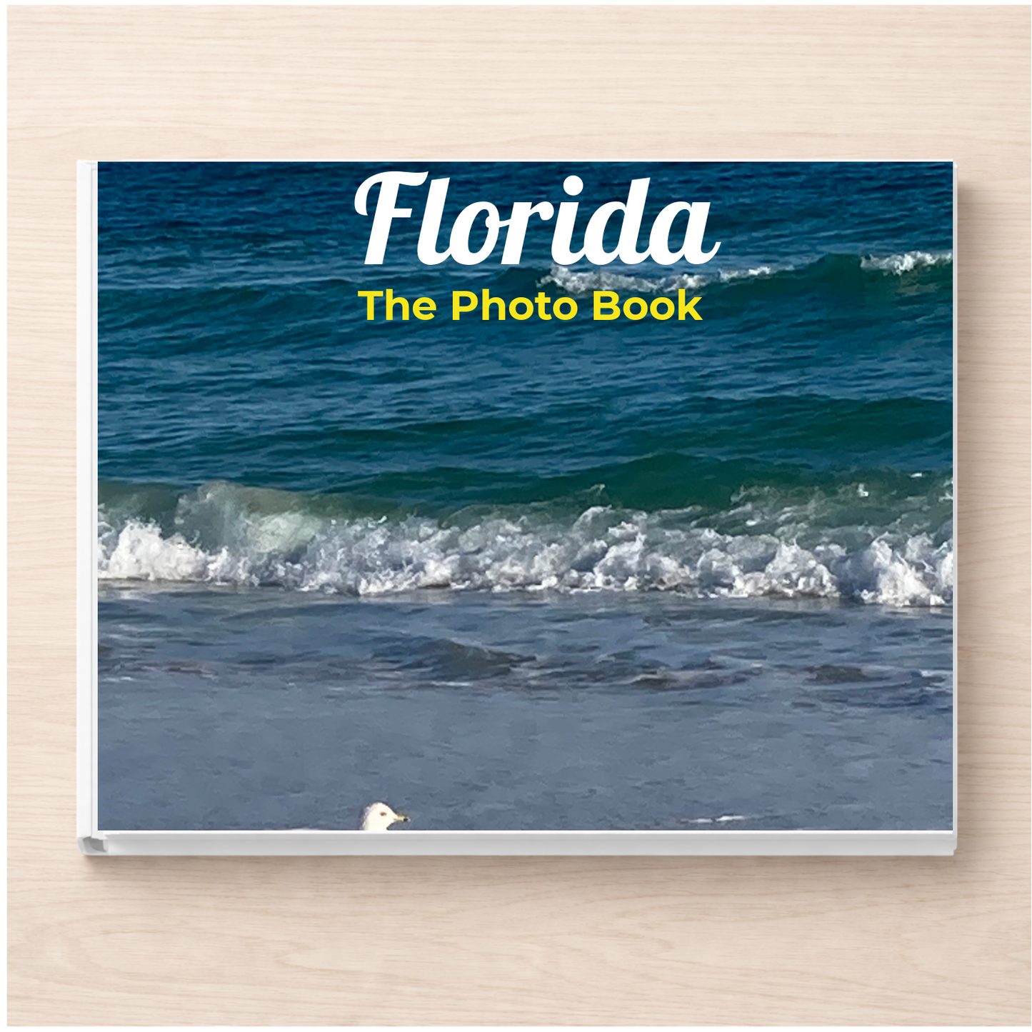 Florida: The Photo Book