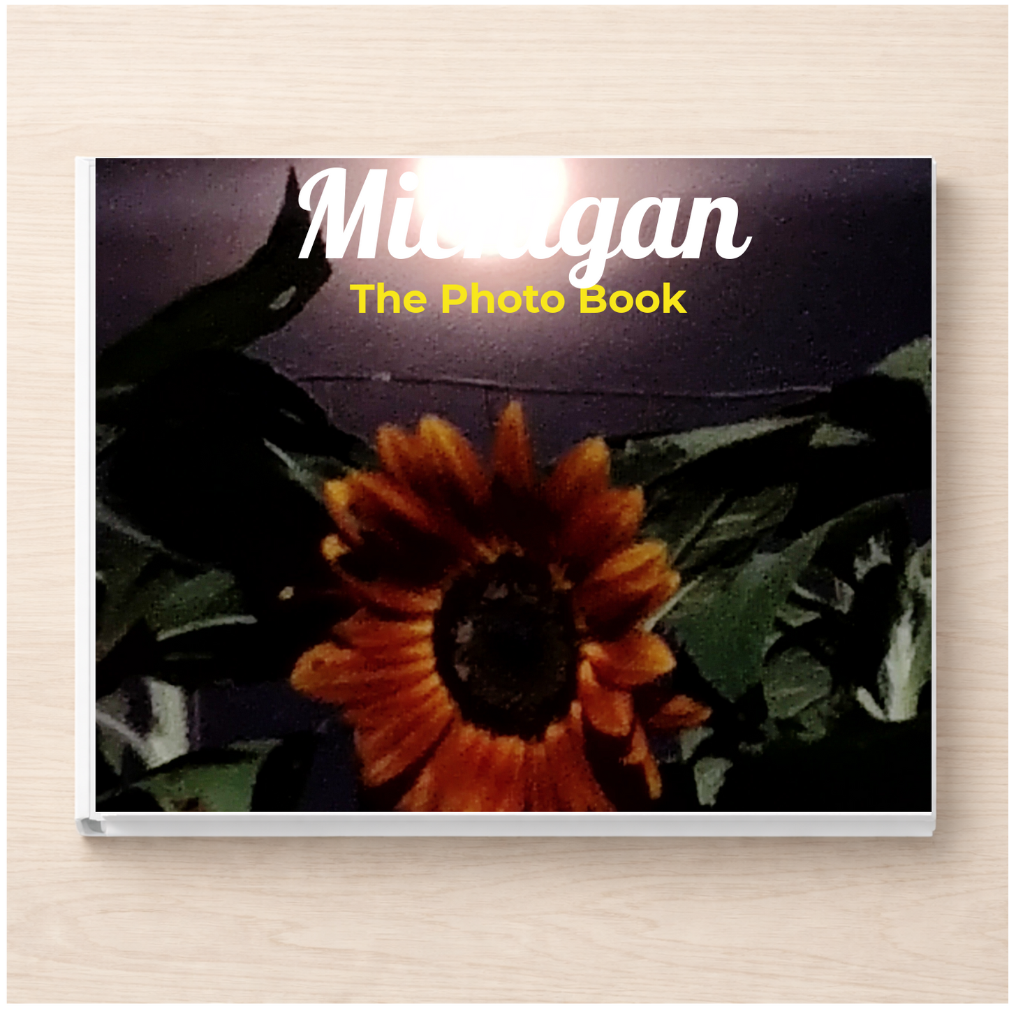 Michigan: The Photo Book
