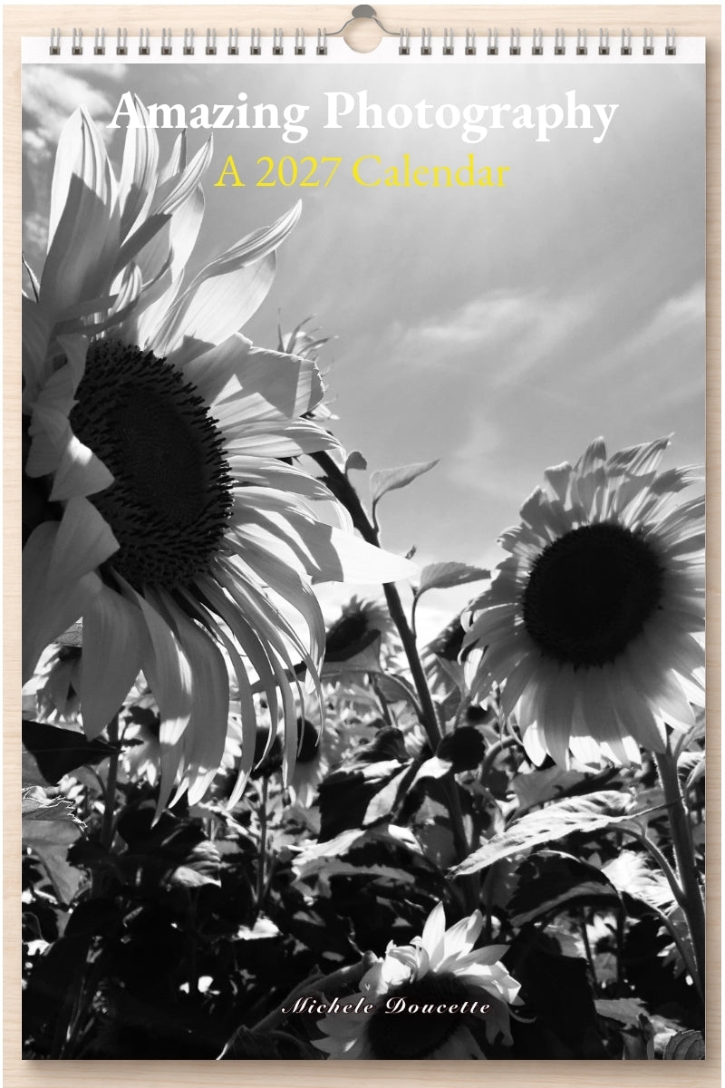 Amazing Photography: A 2027 Calendar