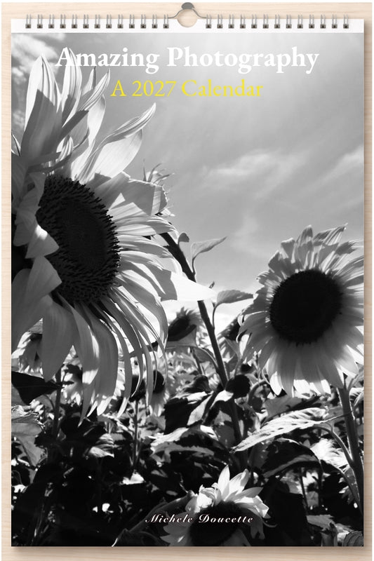 Amazing Photography: A 2027 Calendar