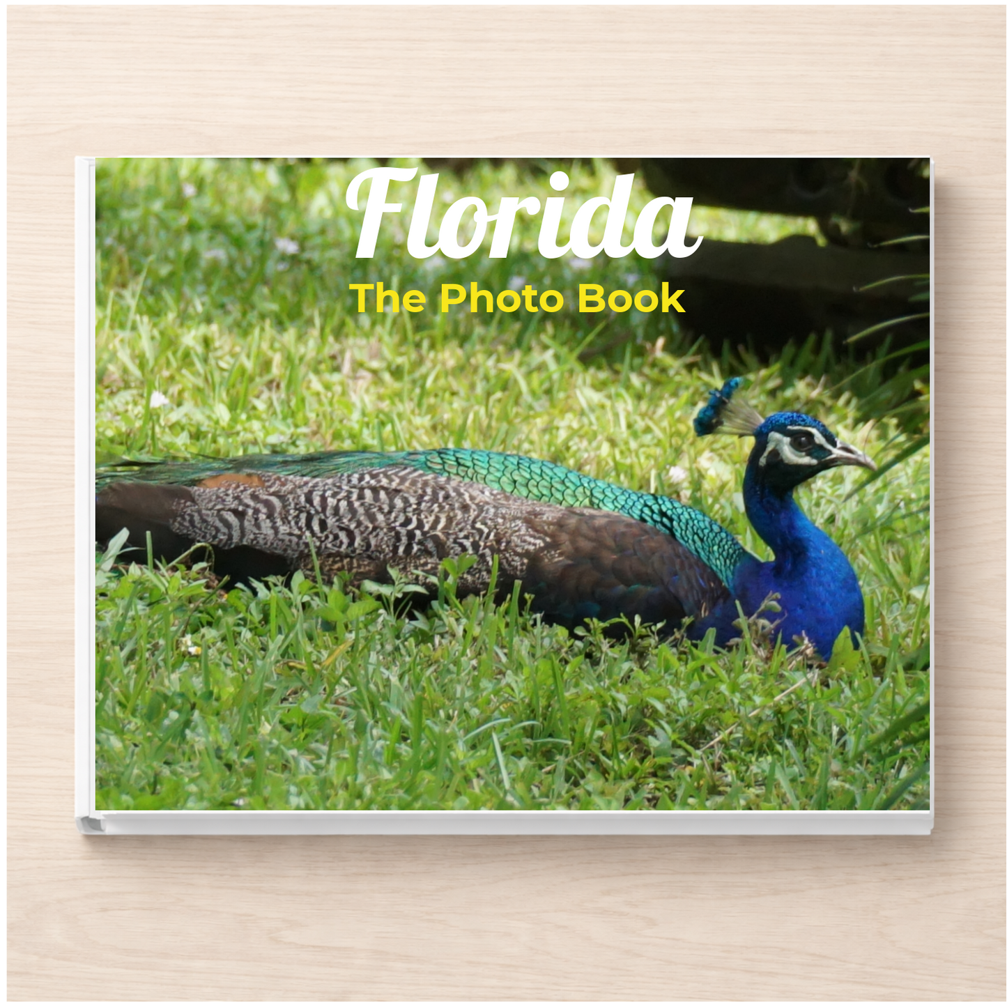 Florida: The Photo Book
