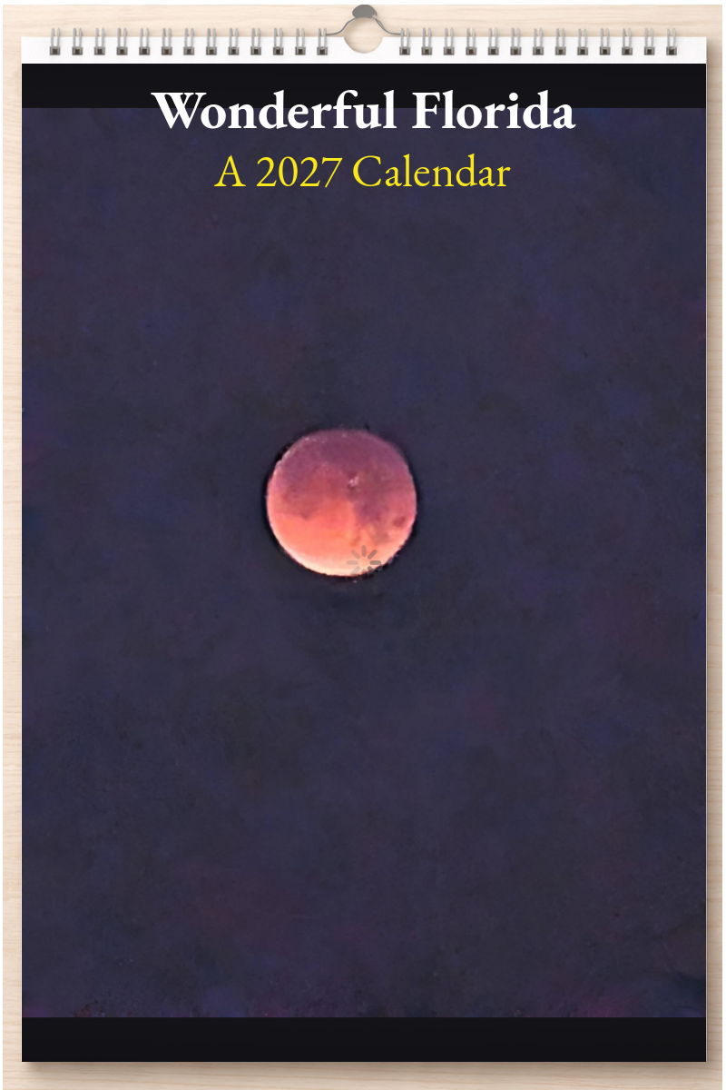 Wonderful Florida: A 2027 Calendar