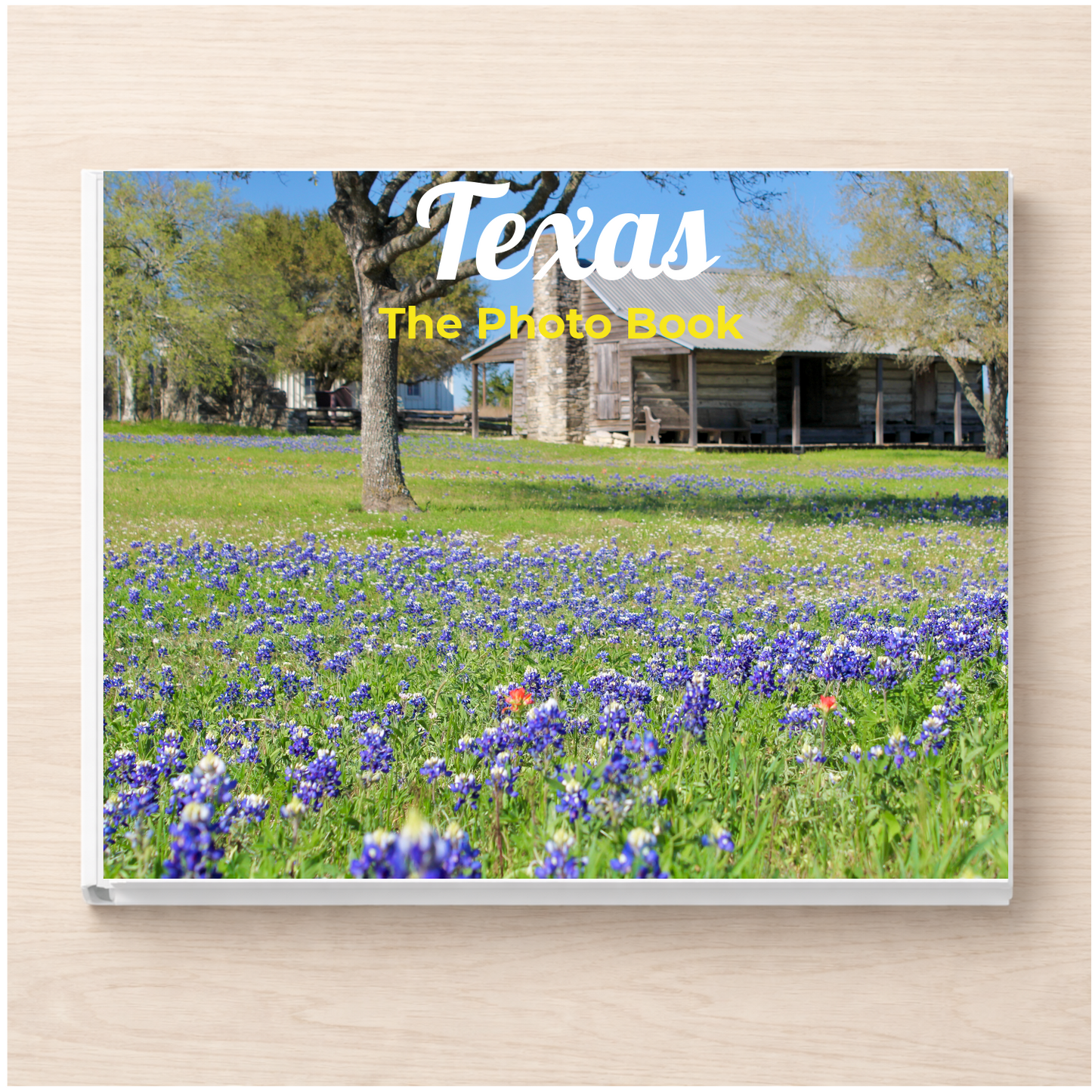 Texas: The Photo Book