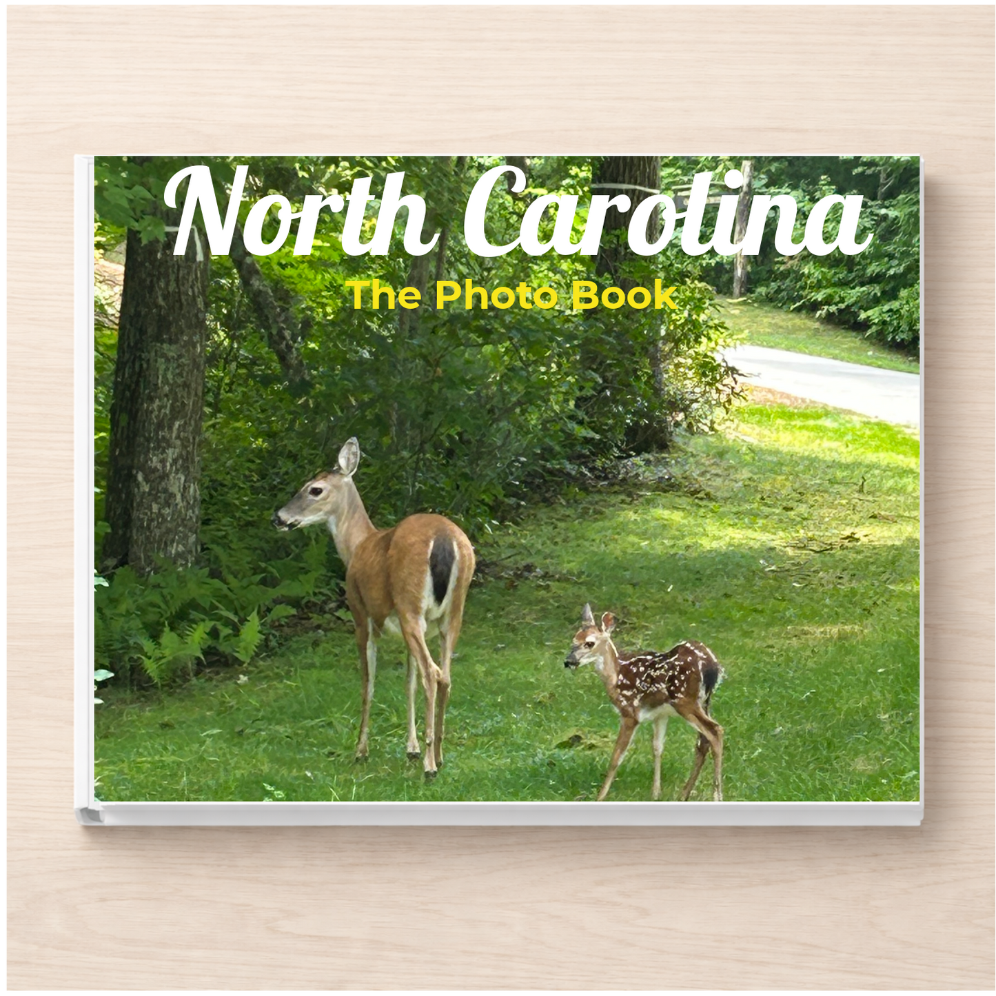 North Carolina: The Photo Book