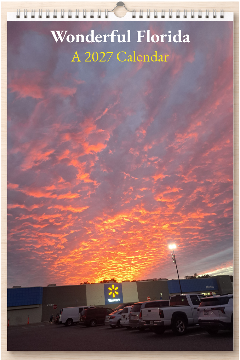 Wonderful Florida: A 2027 Calendar