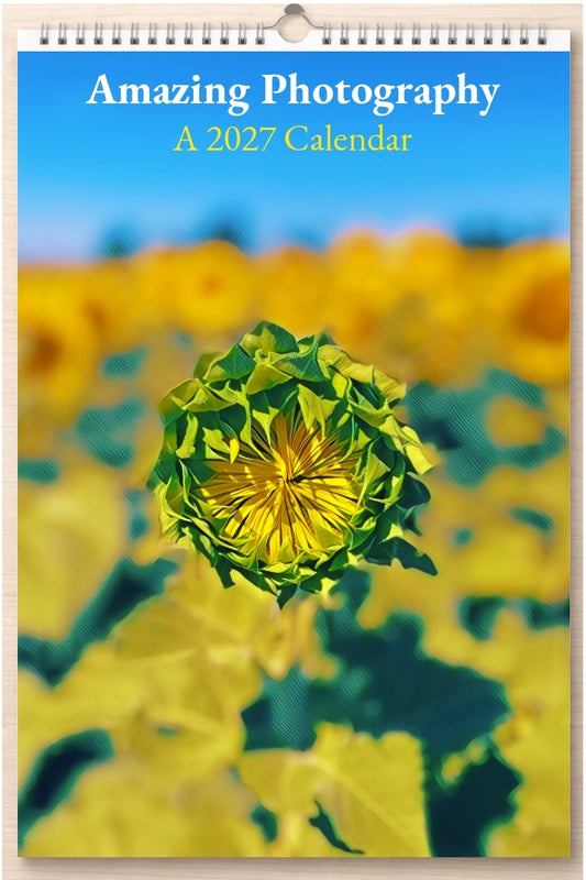 Amazing Photography: A 2027 Calendar