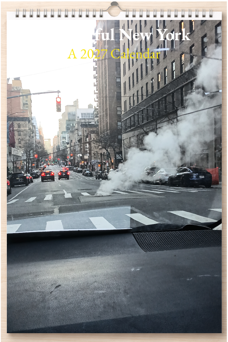 Wonderful New York: A 2027 Calendar