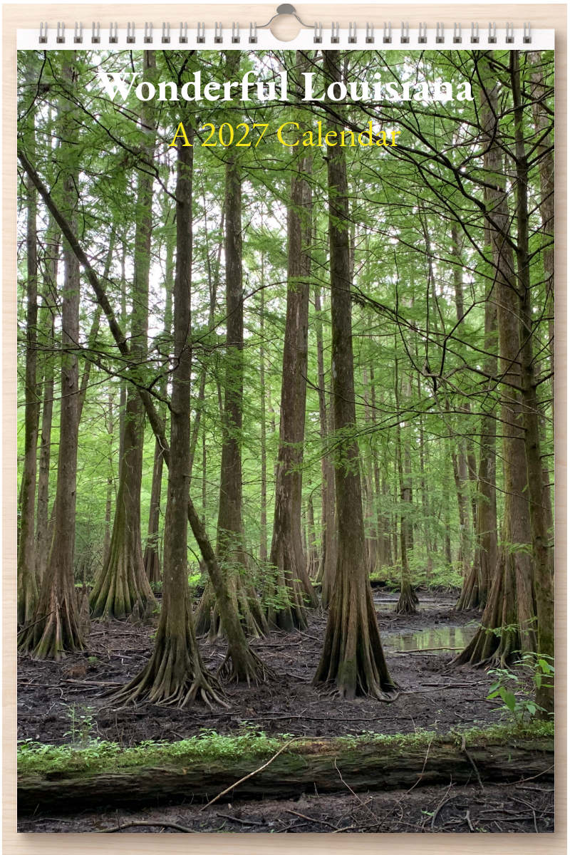 Wonderful Louisiana: A 2027 Calendar