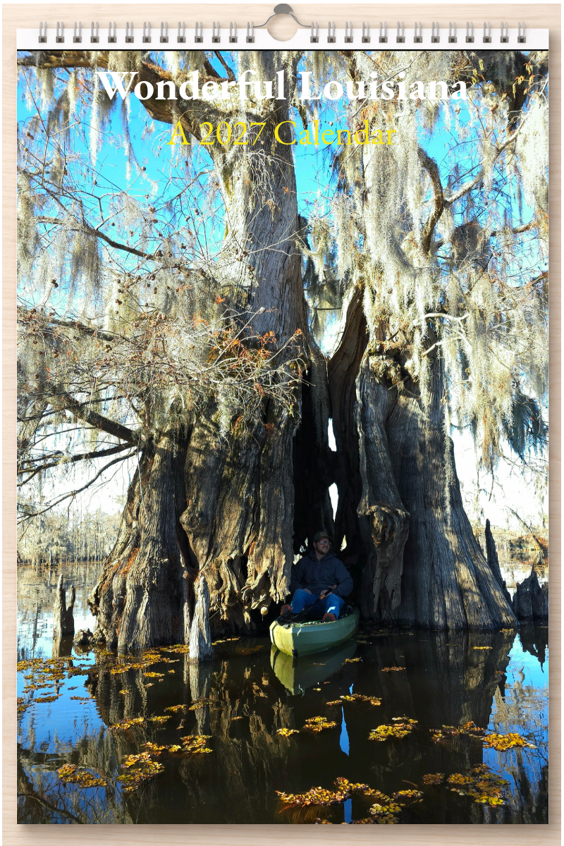 Wonderful Louisiana: A 2027 Calendar