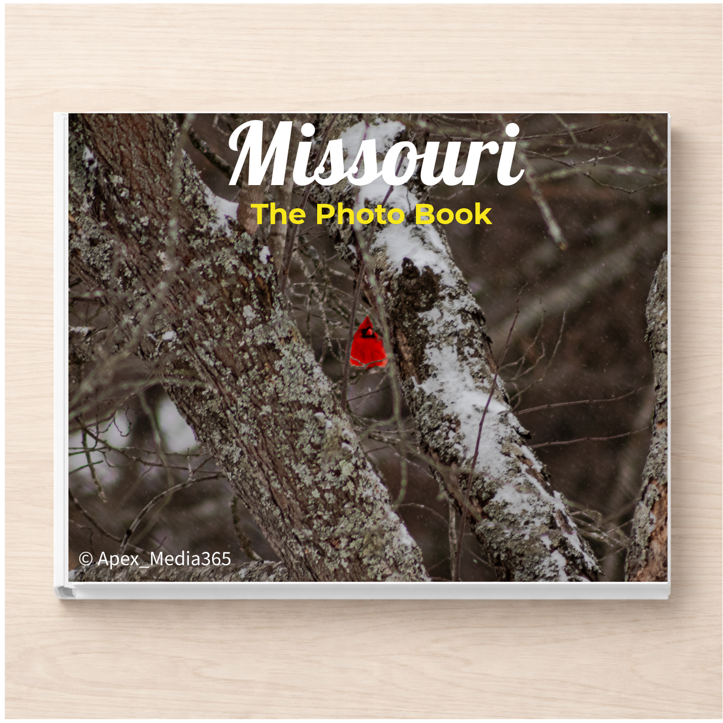 Missouri: The Photo Book