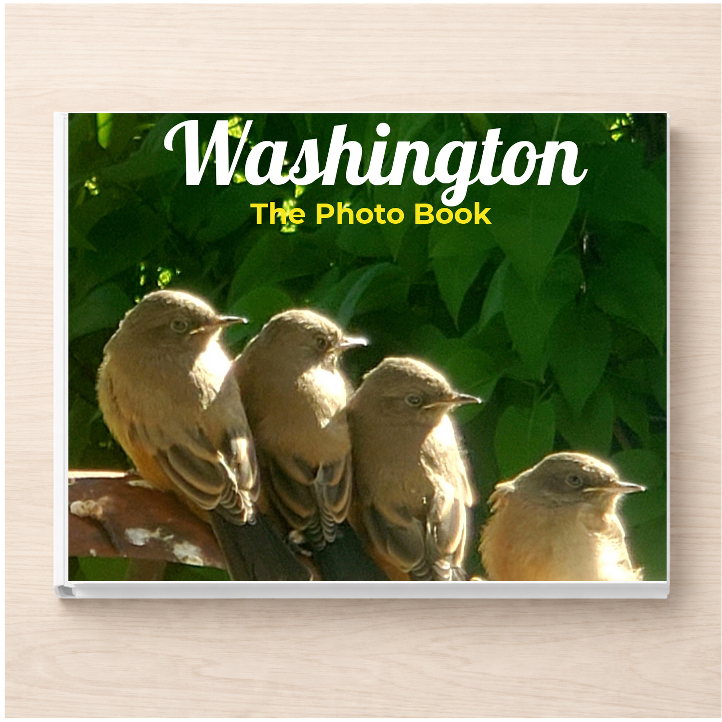 Washington: The Photo Book
