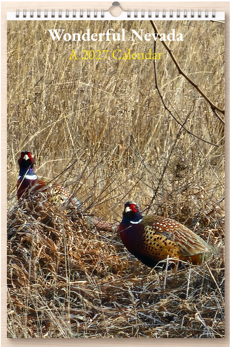 Wonderful Nevada: A 2027 Calendar