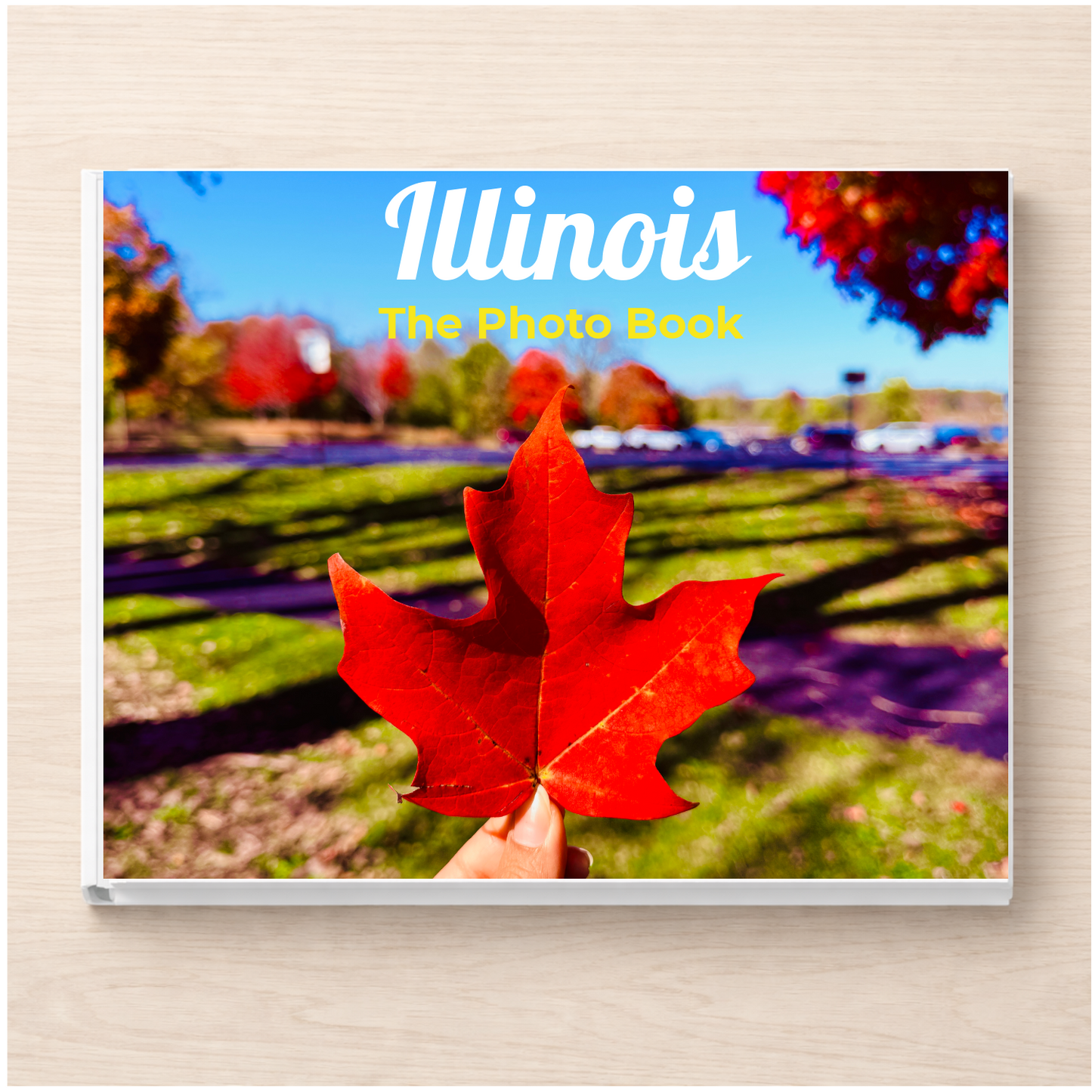 Illinois: The Photo Book