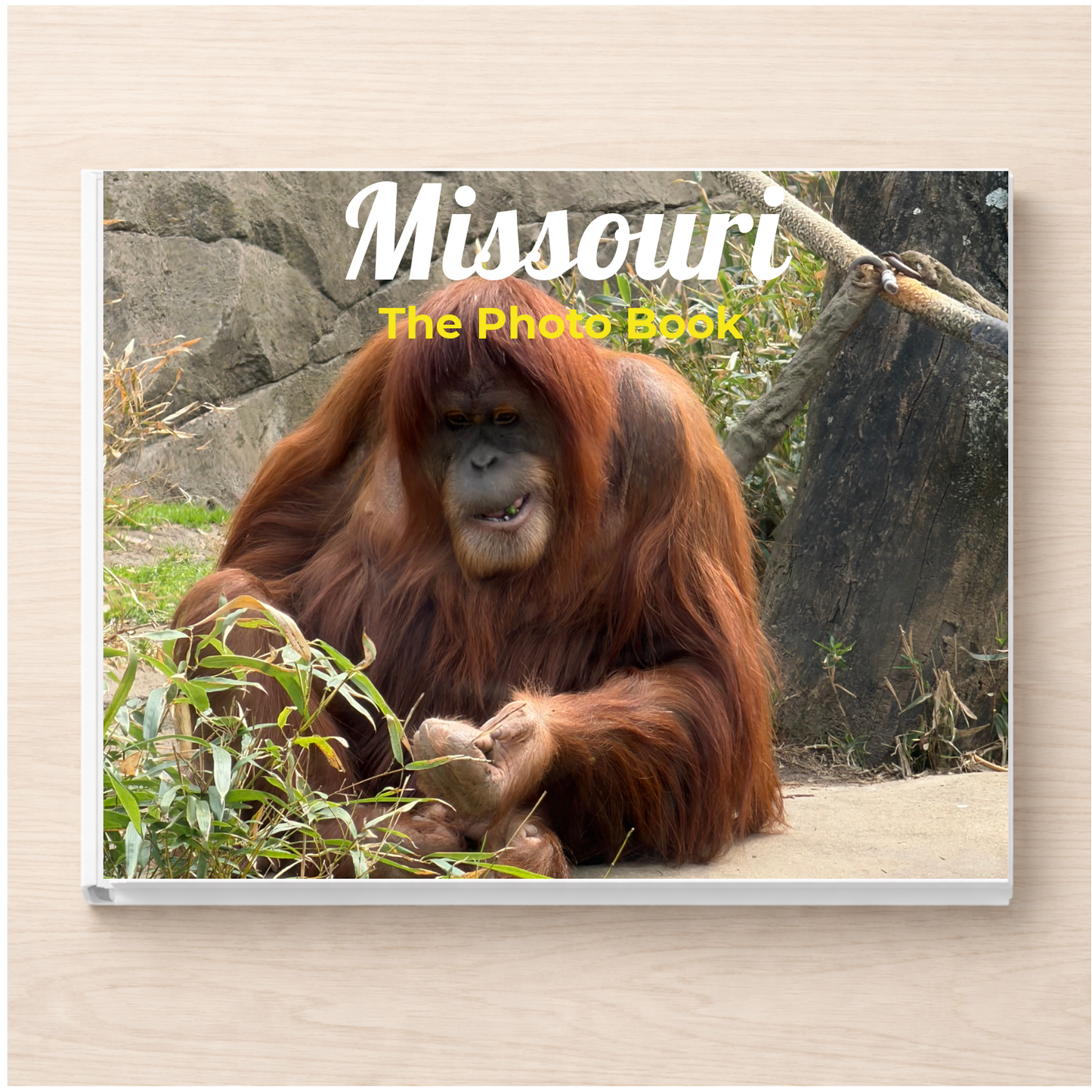 Missouri: The Photo Book