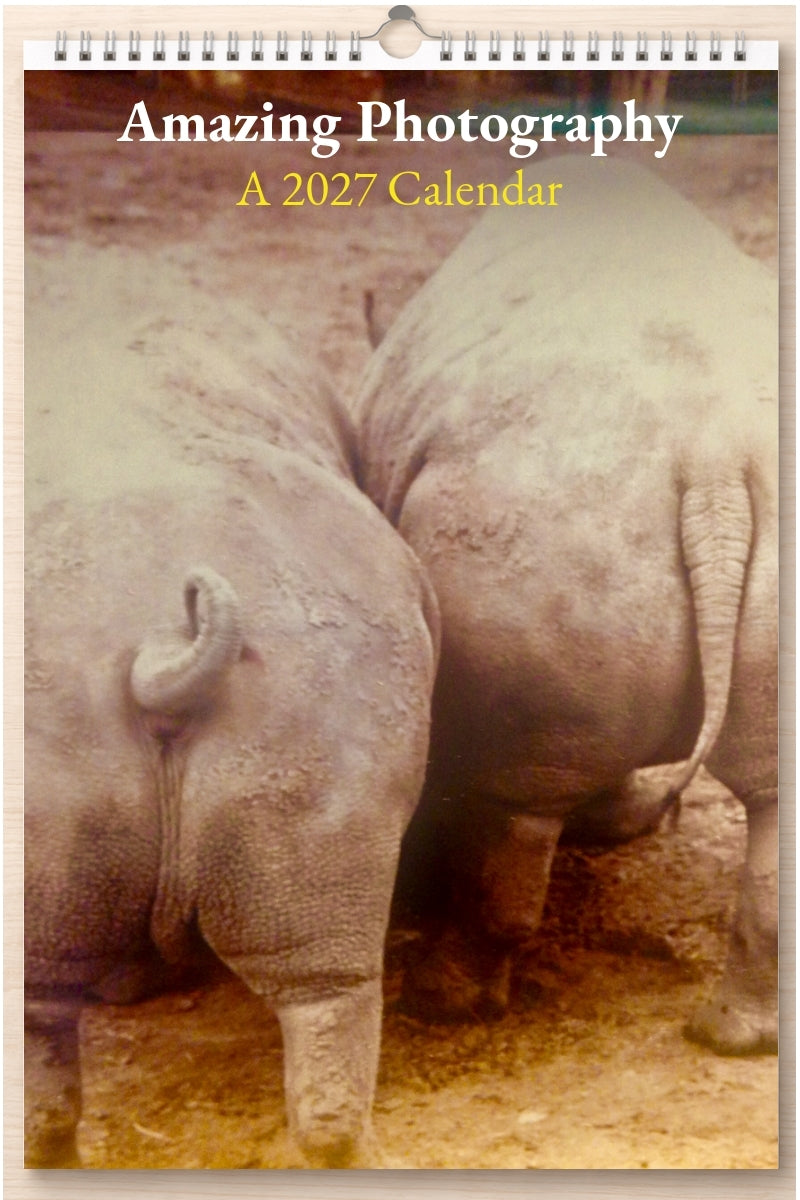 Amazing Photography: A 2027 Calendar